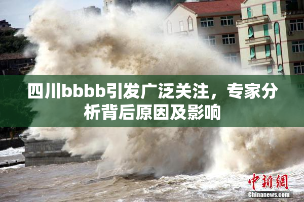四川bbbb引发广泛关注，专家分析背后原因及影响
