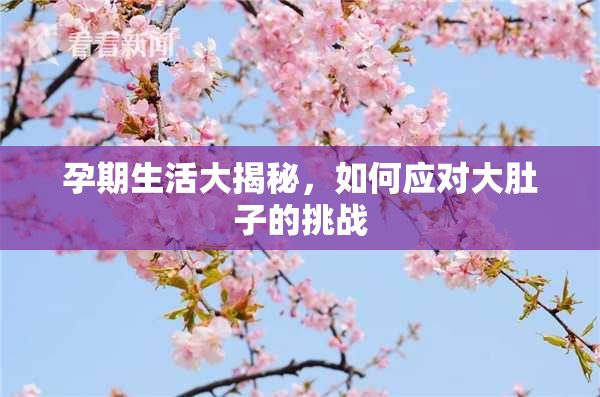 孕期生活大揭秘，如何应对大肚子的挑战
