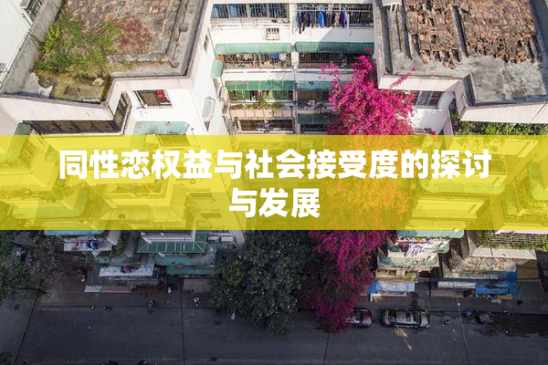 同性恋权益与社会接受度的探讨与发展