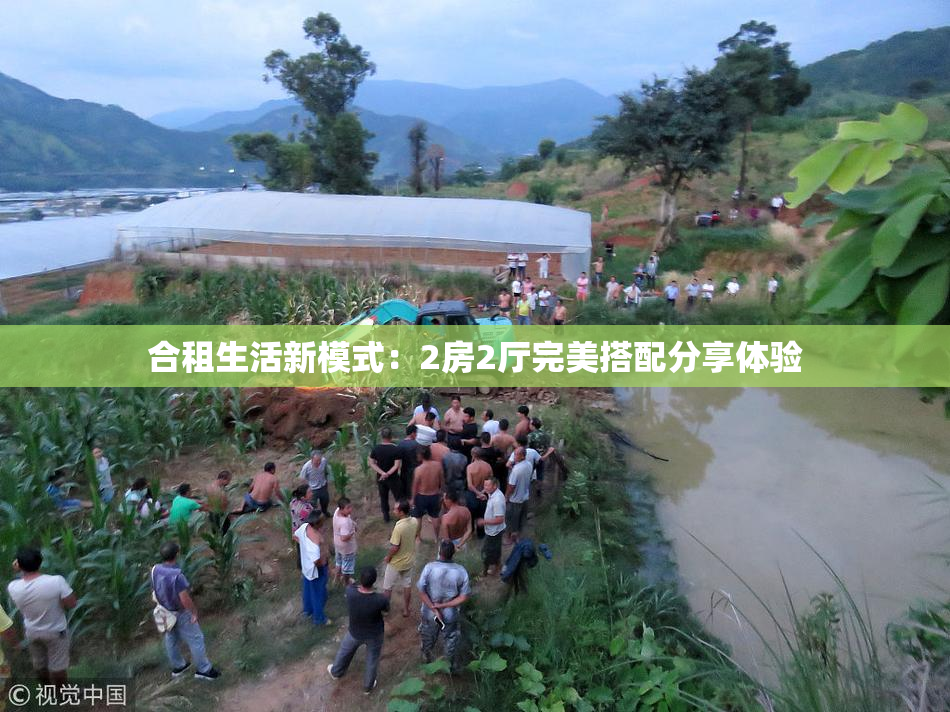 合租生活新模式：2房2厅完美搭配分享体验