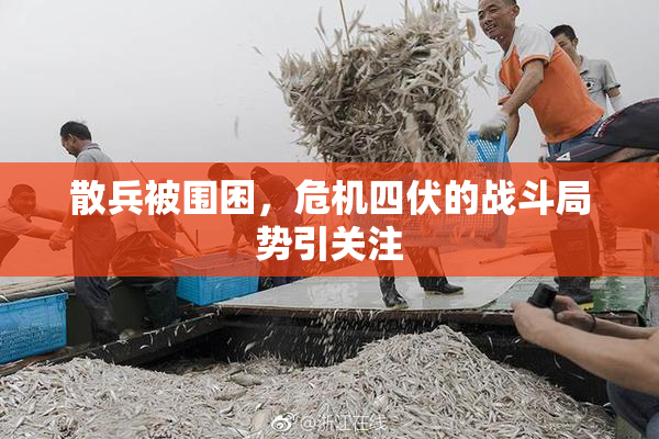 散兵被围困，危机四伏的战斗局势引关注
