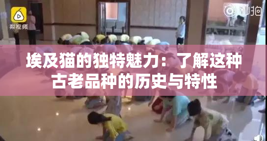 埃及猫的独特魅力：了解这种古老品种的历史与特性