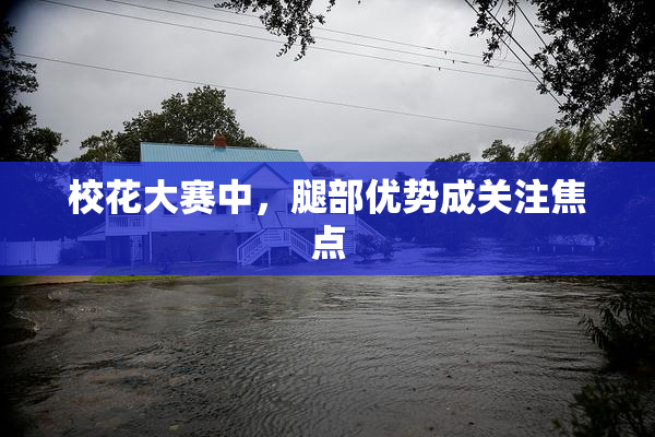 校花大赛中，腿部优势成关注焦点