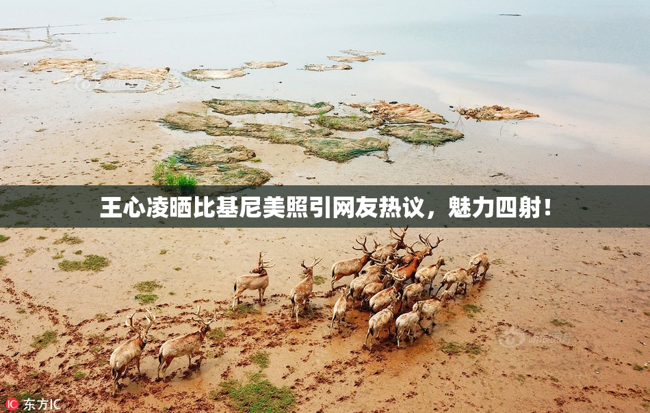 王心凌晒比基尼美照引网友热议，魅力四射！
