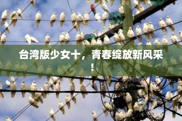 台湾版少女十，青春绽放新风采！