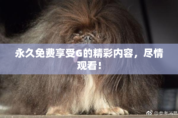 永久免费享受G的精彩内容，尽情观看！
