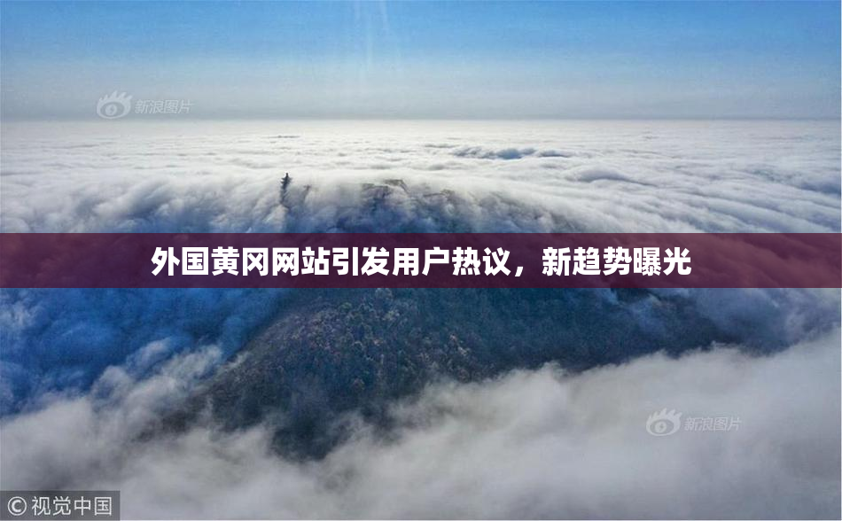外国黄冈网站引发用户热议，新趋势曝光