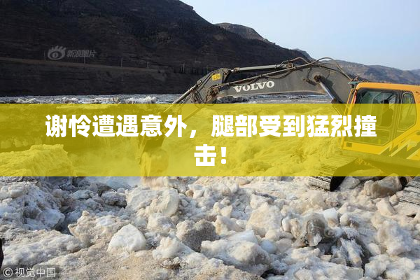 谢怜遭遇意外，腿部受到猛烈撞击！