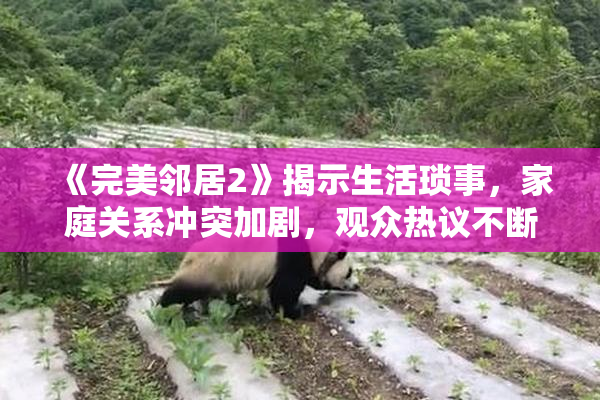 《完美邻居2》揭示生活琐事，家庭关系冲突加剧，观众热议不断