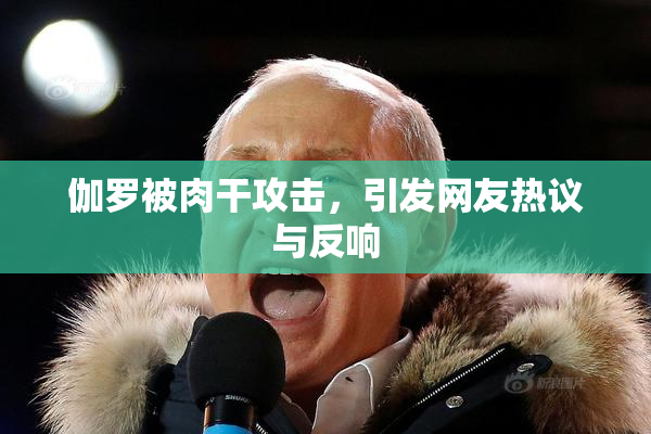 伽罗被肉干攻击，引发网友热议与反响
