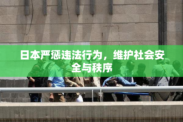 日本严惩违法行为，维护社会安全与秩序