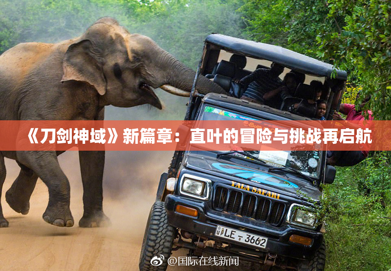 《刀剑神域》新篇章：直叶的冒险与挑战再启航