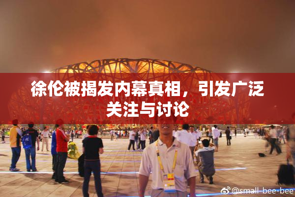 徐伦被揭发内幕真相，引发广泛关注与讨论