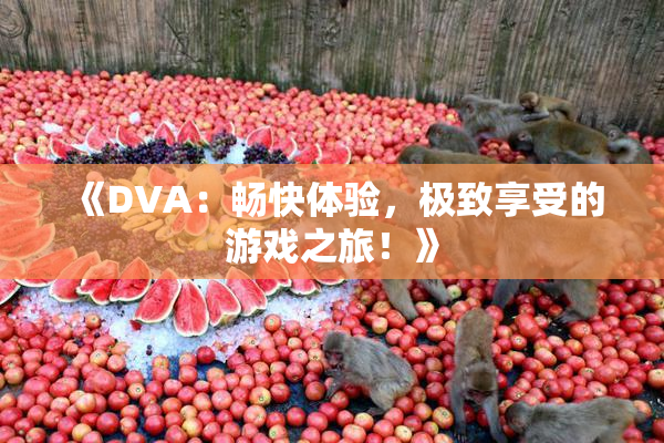 《DVA：畅快体验，极致享受的游戏之旅！》