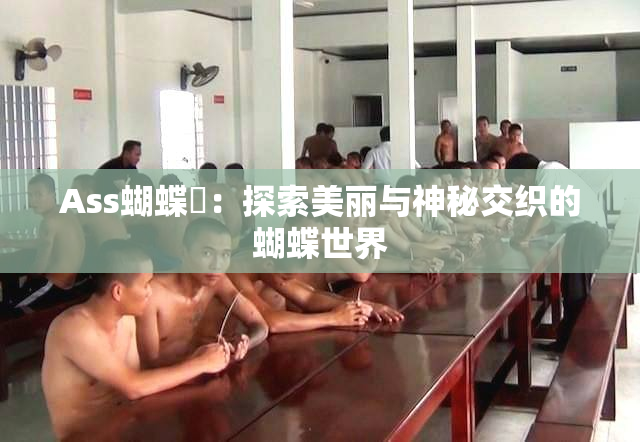 Ass蝴蝶泬：探索美丽与神秘交织的蝴蝶世界