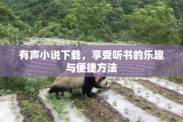 有声小说下载，享受听书的乐趣与便捷方法