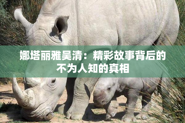 娜塔丽雅吴清：精彩故事背后的不为人知的真相