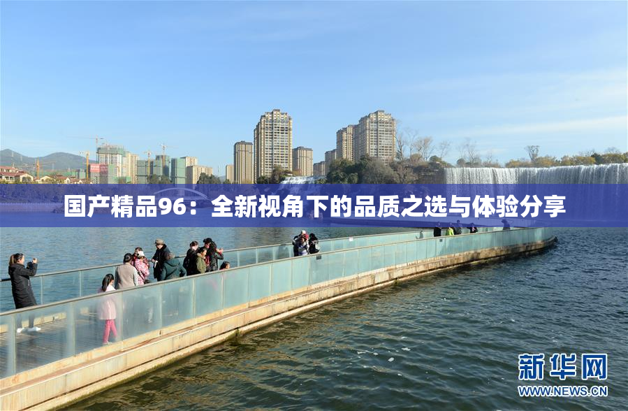 国产精品96：全新视角下的品质之选与体验分享
