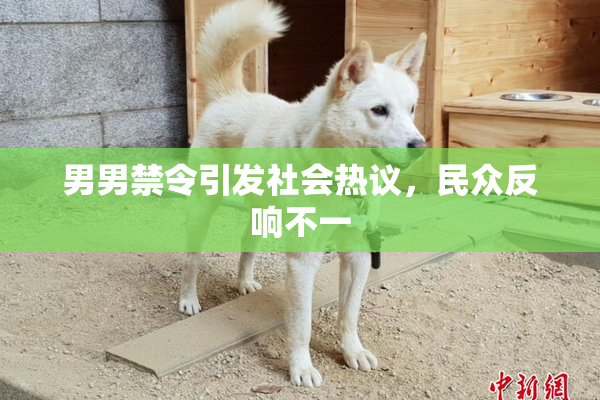男男禁令引发社会热议，民众反响不一