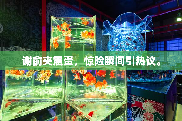 谢俞夹震蛋，惊险瞬间引热议。