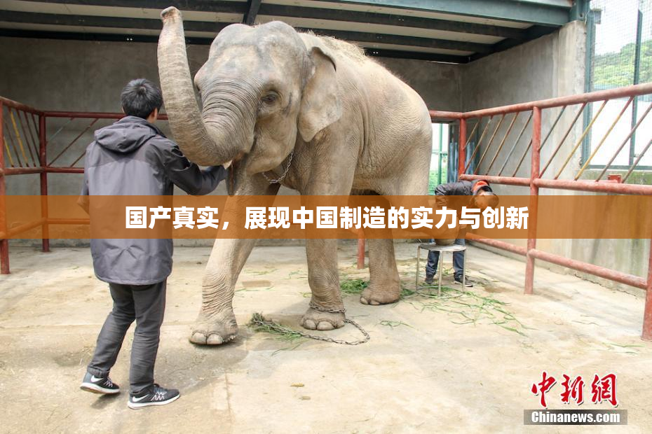 国产真实，展现中国制造的实力与创新
