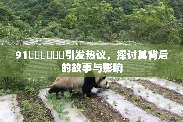91❌‌❌‌❌‌引发热议，探讨其背后的故事与影响