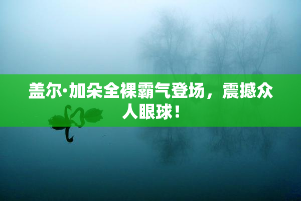 盖尔·加朵全裸霸气登场，震撼众人眼球！
