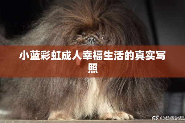 小蓝彩虹成人幸福生活的真实写照