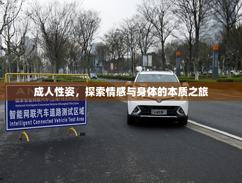 成人性姿，探索情感与身体的本质之旅