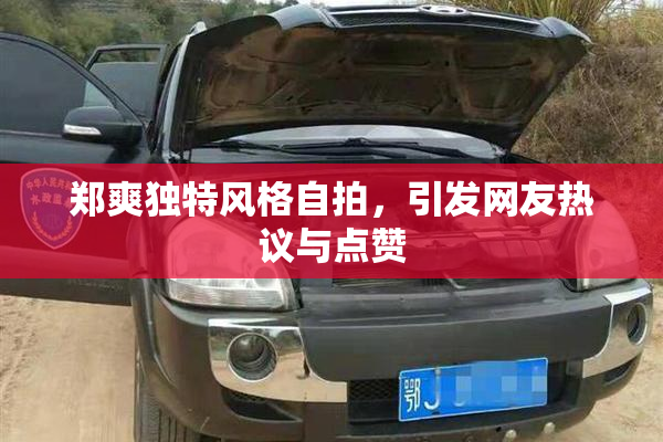 郑爽独特风格自拍，引发网友热议与点赞