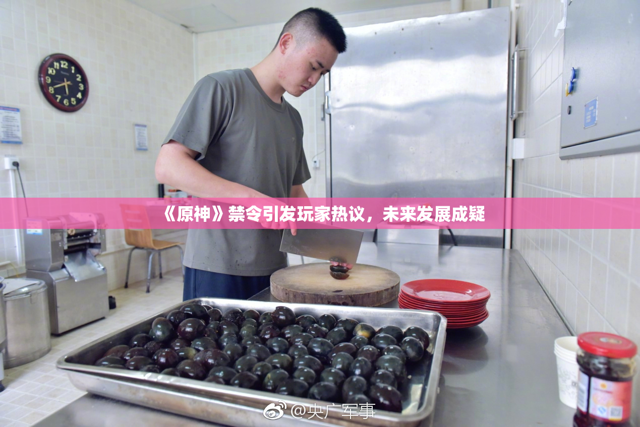 《原神》禁令引发玩家热议，未来发展成疑