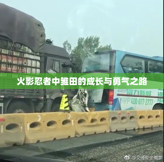 火影忍者中雏田的成长与勇气之路