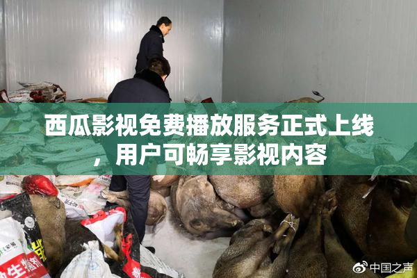西瓜影视免费播放服务正式上线，用户可畅享影视内容