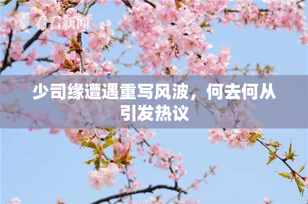 少司缘遭遇重写风波，何去何从引发热议