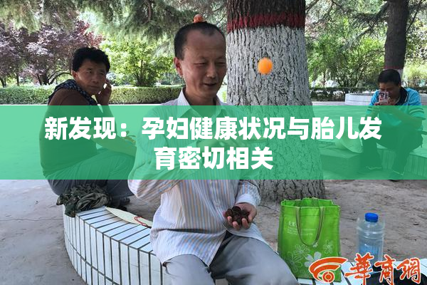 新发现：孕妇健康状况与胎儿发育密切相关