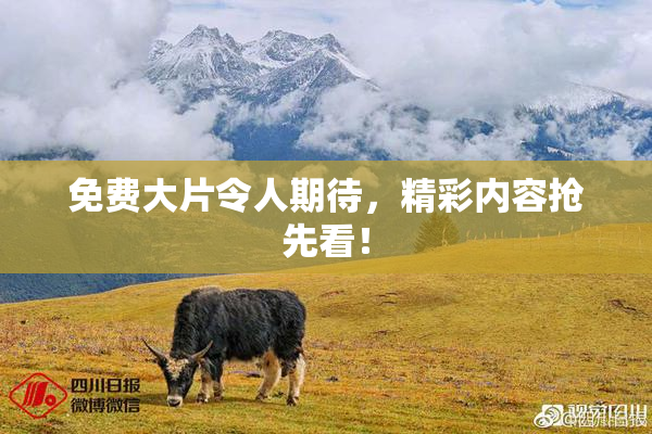 免费大片令人期待，精彩内容抢先看！