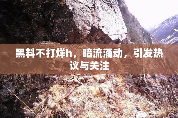 黑料不打烊h，暗流涌动，引发热议与关注
