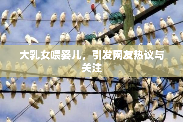 大乳女喂婴儿，引发网友热议与关注