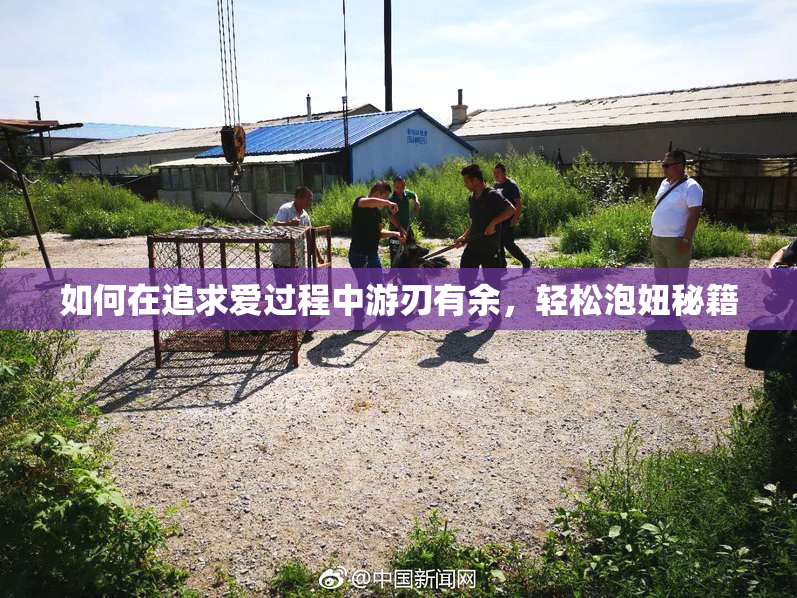 如何在追求爱过程中游刃有余，轻松泡妞秘籍