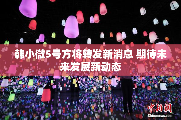 韩小微5号方将转发新消息 期待未来发展新动态