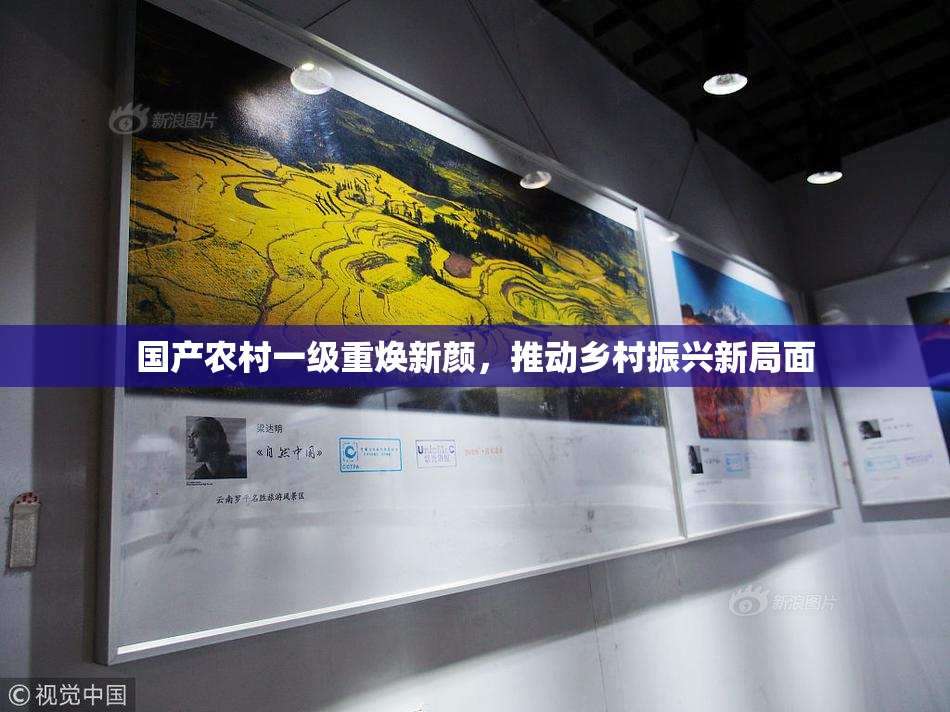 国产农村一级重焕新颜，推动乡村振兴新局面