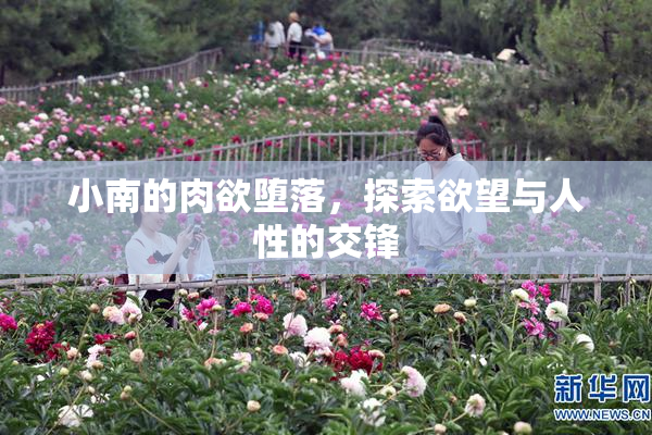 小南的肉欲堕落，探索欲望与人性的交锋