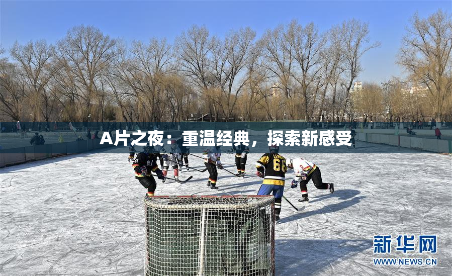 A片之夜：重温经典，探索新感受