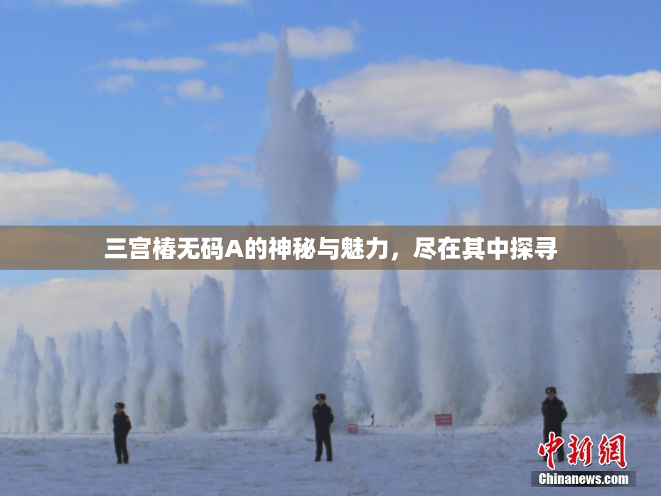 三宫椿无码A的神秘与魅力，尽在其中探寻