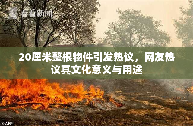 20厘米整根物件引发热议，网友热议其文化意义与用途