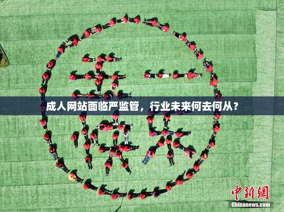成人网站面临严监管，行业未来何去何从？