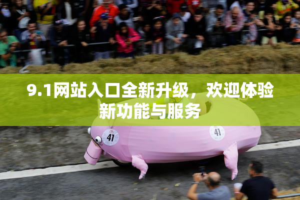 9.1网站入口全新升级，欢迎体验新功能与服务