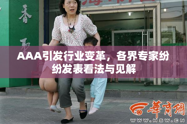 AAA引发行业变革，各界专家纷纷发表看法与见解