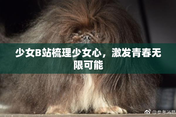 少女B站梳理少女心，激发青春无限可能