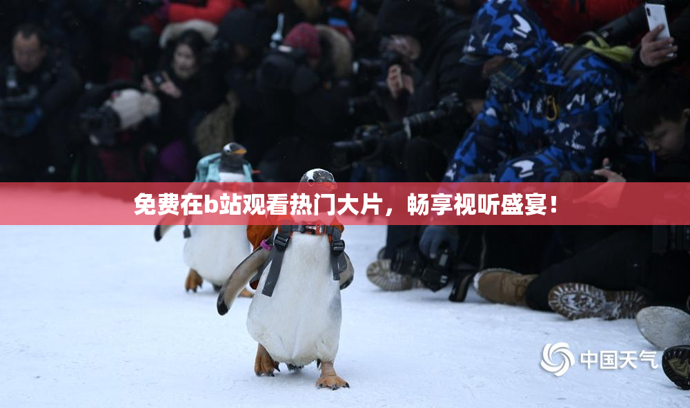 免费在b站观看热门大片，畅享视听盛宴！